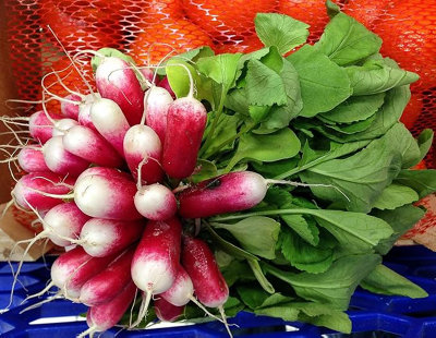 Radish Seeds Flamboyant 3, 200 Seeds) UK Garden Vegetable Seeds Fast Growing Indoor Outdoor Variety Pack