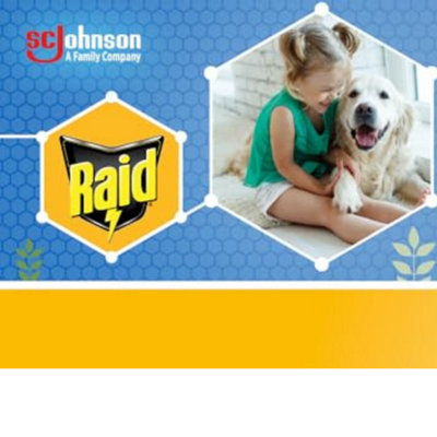 RAID ANT AND COCKROACH KILLER POWDER 250G
