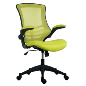 Rainbow Zebra Green Mesh Office Chair with Black Base and Folding Armrests