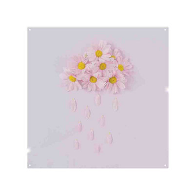 Raining Daisy Cloud Splash Back designer style