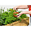 Raised Garden Bed Planter - Herb Garden - Natural (FSC 100%)