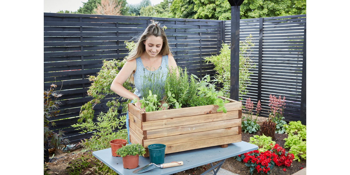 How to build raised garden beds B&Q