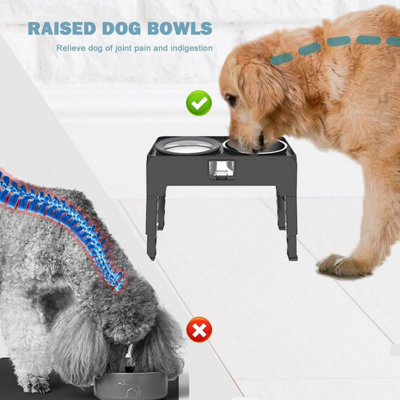 Raised slow feeder dog clearance bowl