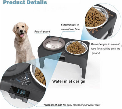 Raised dog water bowl best sale