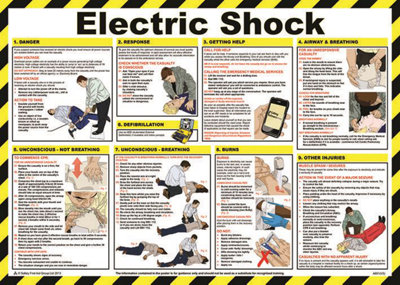 RARAION - Electric Shock Guidance Poster - 420mm x 590mm