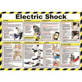RARAION - Electric Shock Guidance Poster - 420mm x 590mm