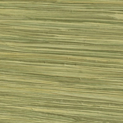 Rasch 478730 Lime Grasscloth Wallpaper Paste The Wall