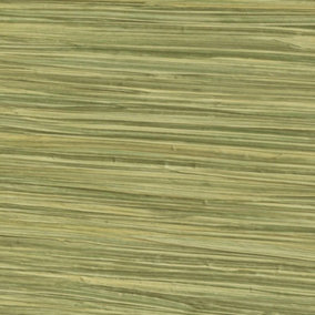Rasch 478730 Lime Grasscloth Wallpaper Paste The Wall