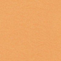 Rasch Plain Textured Orange Wallpaper Modern Contemporary Paste The Wall Vinyl