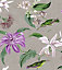 Rasch Platina Tropique Hummingbird Silver and Purple Wallpaper