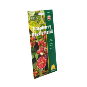 Raspberry Beetle Pheromone Trap - Refill Pack