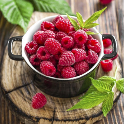 Raspberry Grower s Choice Mixed Summer & Autumn Fruiting Hardy Plants ...
