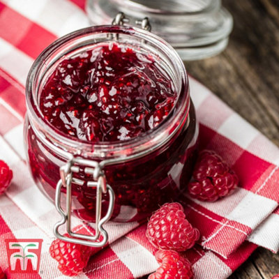 Raspberry (Rubus Idaeus) Autumn Treasure 6 Canes | DIY at B&Q