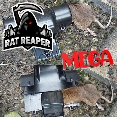 Rat Reaper Instant Kill rat Trap