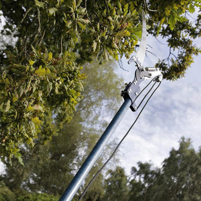 Razorsharp Lightweight Telescopic Tree Pruner Black