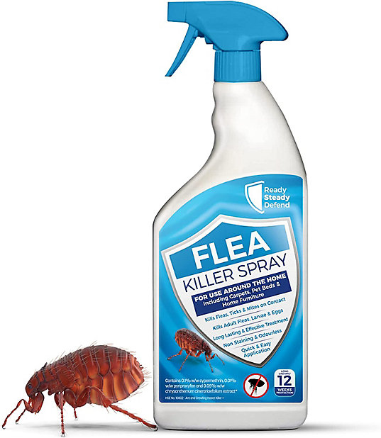 Ready Steady Defend Flea Spray 1