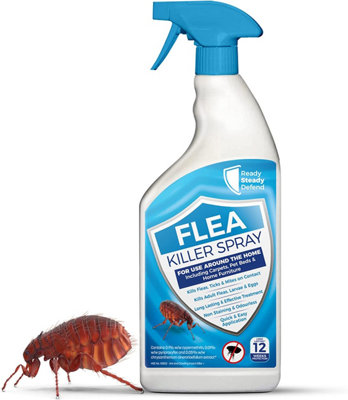 Diy home flea clearance treatment