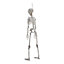 Realistic Full Body Poseable Skeleton Props Hanging Halloween Party Decoration 85cm