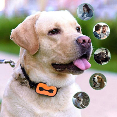 Bark Collar For Large Dog Dog Bark Collar -Anti Automatic Barking
