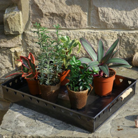 Rectangular Dark Zinc Garden Plant Tray
