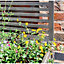 Rectangular Garden Planter and Trellis (2.5ft x 1.5ft)