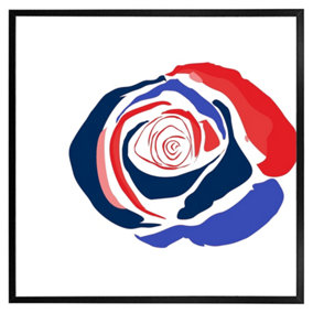 Red & blue rose (Picutre Frame) / 12x12" / Black