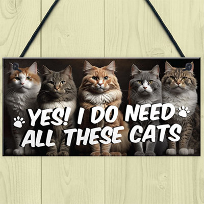 Silly cat gifts shop
