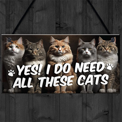 Red Ocean Funny Cat Gifts For Cat Lovers Gift For Women YES I DO