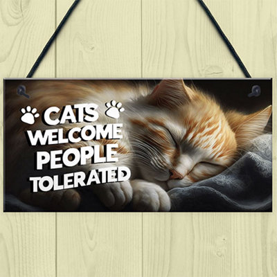 Funny gifts best sale for cat lovers