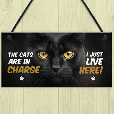 Funny gifts store for cat lovers