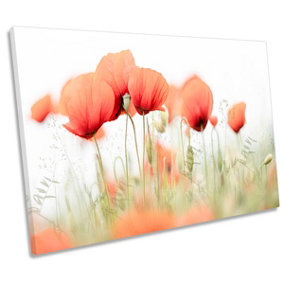 Red Poppy Flowers Summer Day CANVAS WALL ART Print Picture (H)30cm x (W)46cm