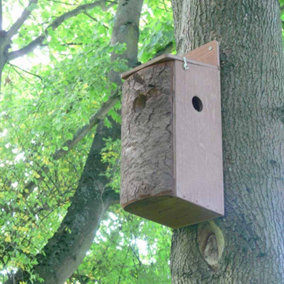 Red Squirrel Nest Box - Plywood - L20 x W15 x H50 cm