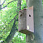 Red Squirrel Nest Box With Multiple Entrances