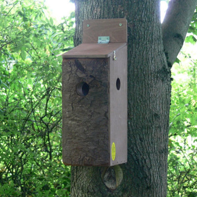 Red Squirrel Nest Box With Multiple Entrances