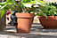 Red Squirrel Plant Pot Hanger - L13 x W4.5 x H7 cm