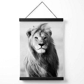 Regal Lion Animal Black and White Photo Medium Poster with Black Hanger