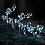Reindeer with Sleigh LED Outdoor Christmas 2D Lights Decoration