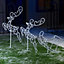 Reindeer with Sleigh LED Outdoor Christmas 2D Lights Decoration