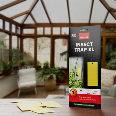 Rentokil Insect Traps XL (Contains 7 Sticky Traps)