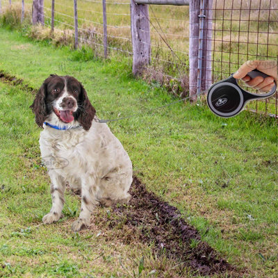 Retractable Dog Lead Training Pet Leash 5m Max 25kgs Extendable Grey