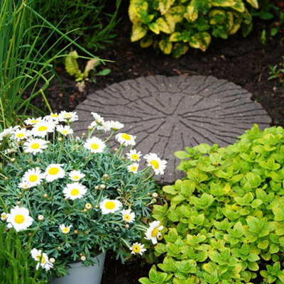 Reversible Outdoor Stepping Stones Eco-Friendly Cracked Log Effect Ornamental Recycled Rubber for Garden, Path & Patio x2