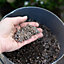 RHS Horticultural Potting Grit - 20KG Bag x 1