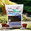 Rhs Sylvagrow Ericaceous Compost 40 Litres (Peat Free)