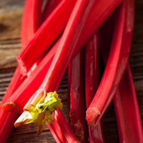 Rhubarb Suttons Seedless Bare Root - Grow Your Own Bareroot, Fresh Vegetable Plants, Ideal for UK Gardens (1 Pack)