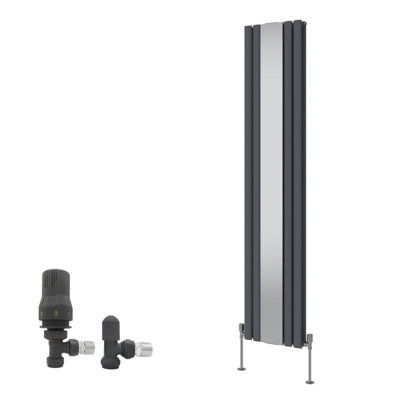 Right Radiators Vertical Double Oval Column Radiator with Mirror ...