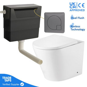 Rimless Back to Wall Toilet with Concealed Cistern & Gunmetal Flush Button