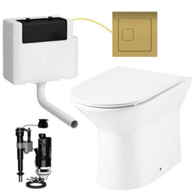 Rimless D Shape Back to Wall Toilet Pan with Soft Close Slim Seat and Concealed Cistern Square Brass Flush Button