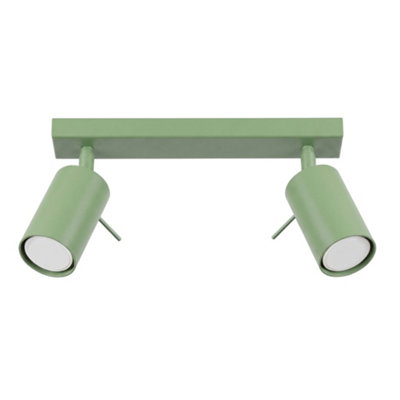 RING steel sage 2 Lights modern Ceiling lamps