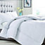 Riva Home Cosy Home Anti-Allergy Double 15 Tog Duvet