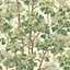 Rivington Tree Wallpaper Cream Belgravia 2501